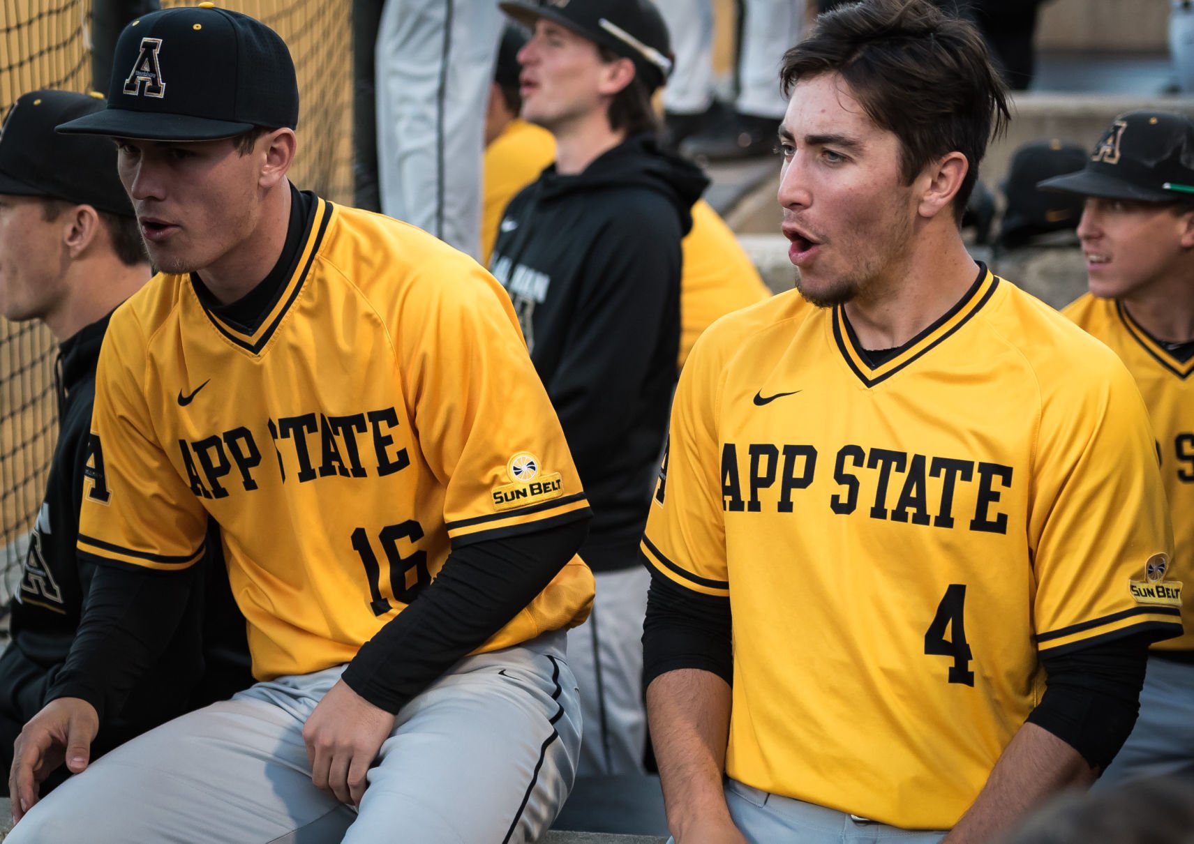 Appalachian State Wake Forest Baseball